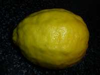 Citrus Limon Ponderosa /  